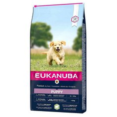 Eukanuba Puppy Large Lamb 2,5 kg
