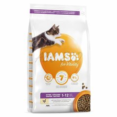 Iams Cat Kitten 2kg